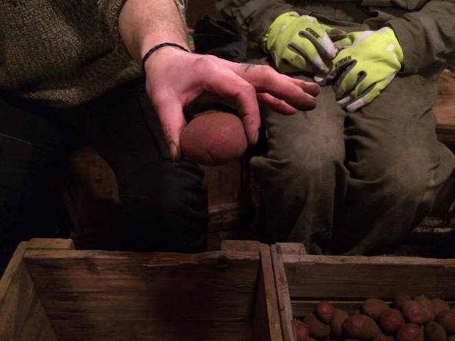 16522477_10154675563226281_1610786530_o