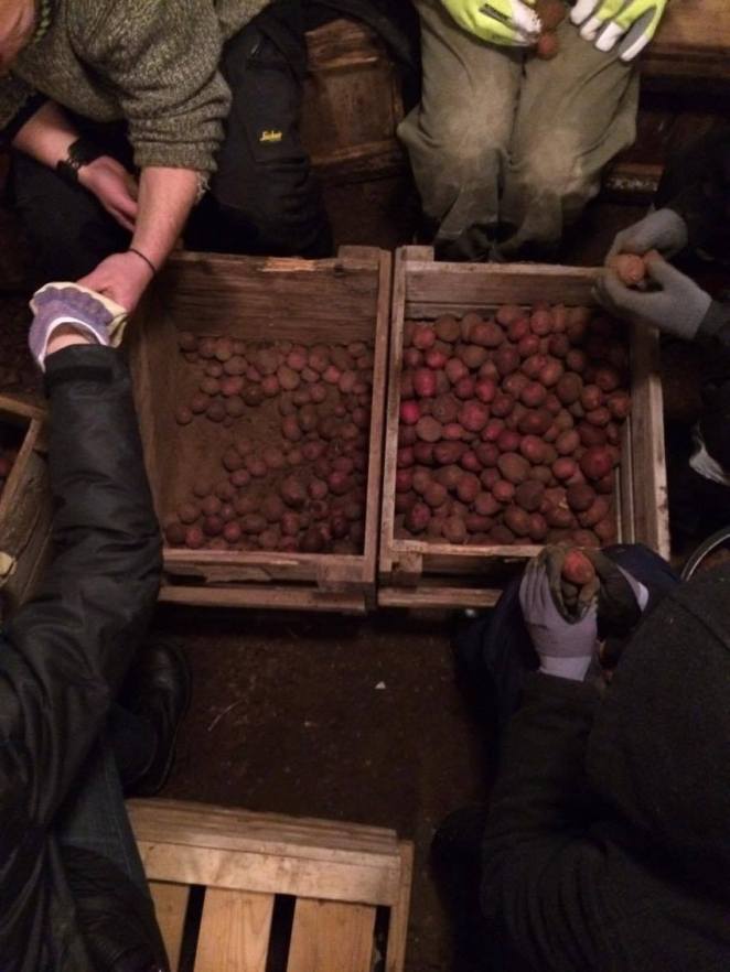 16523428_10154675563386281_1148170311_o