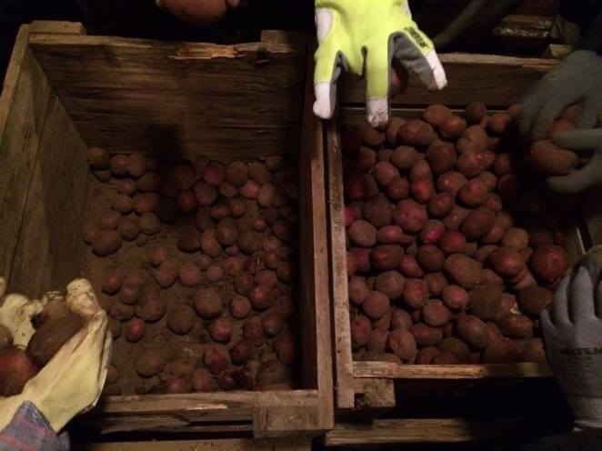 16650803_10154675562846281_1366625356_o